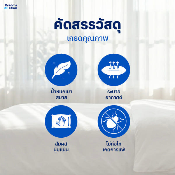 เซ็ตหมอน+หมอนข้างโพลีเอสเตอร์ DREAMSTOWN_2